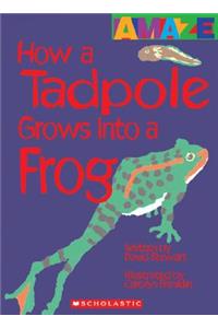 How a Tadpole Grows Into a Frog