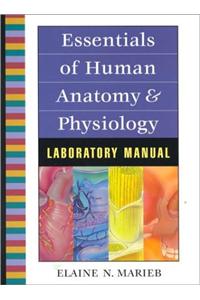 Essentials of Human Anatomy and Physiology Lab Manual