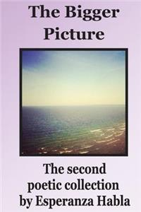 The Bigger Picture