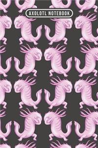 Axolotl Notebook