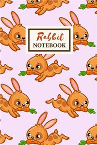 RABBIT Notebook