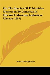 On the Species of Echinoidea Described by Linnaeus in His Work Museum Ludovicae Ulricae (1887)