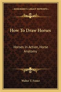 How to Draw Horses