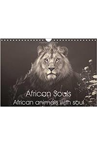 African Souls African Animals with Soul 2017