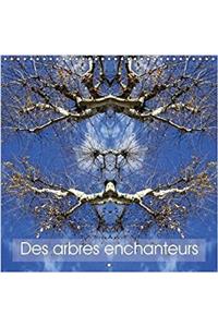 Des arbres enchanteurs 2017