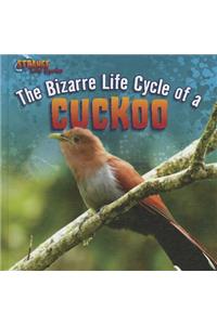 The Bizarre Life Cycle of a Cuckoo