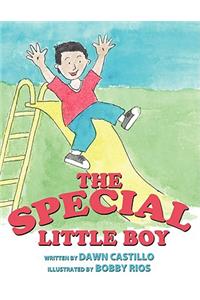 The Special Little Boy