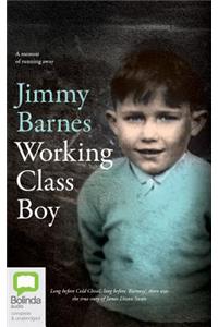 Working Class Boy