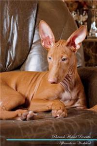 Pharaoh Hound Affirmations Workbook Pharaoh Hound Presents