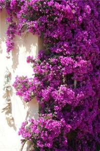 Bougainvillea Flower Journal
