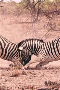 Zebra Fight Journal