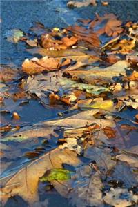 Autumn Leaves on a Pond Journal