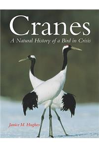 Cranes