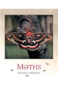 Moths