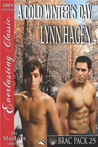 A Cold Winter's Day [Brac Pack 25] (Siren Publishing Everlasting Classic Manlove)