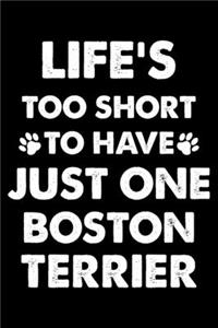 Life's Too Short To Have Just One Boston terrier