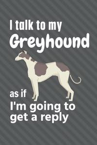 I talk to my Greyhound as if I'm going to get a reply