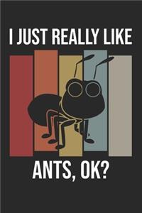 I Just Really Like Ants, OK?