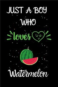 Just A Boy Who Loves Watermelon