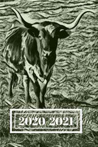 Black & White Long Horn Steer Dated Calendar Planner 2 years To-Do Lists, Tasks, Notes Appointments