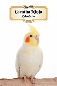 2020 Cacatúa Ninfa Calendario