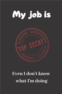 My job is Top Secret. Even I don't know what I'm doing