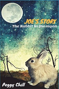 Joe's Story