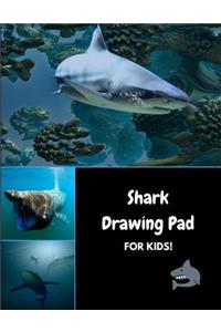 Shark Drawing Pad for Kids!