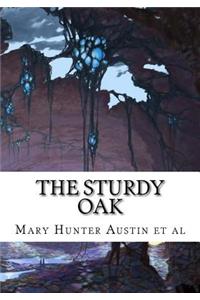 The Sturdy Oak