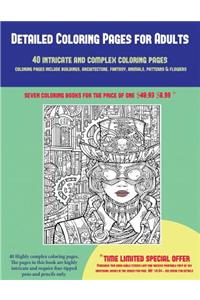 Detailed Coloring Pages for Adults (40 Complex and Intricate Coloring Pages)