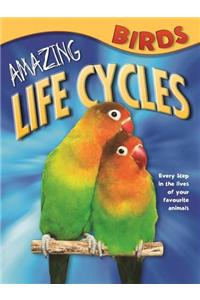 Amazing Life Cycles: Birds