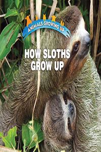 How Sloths Grow Up