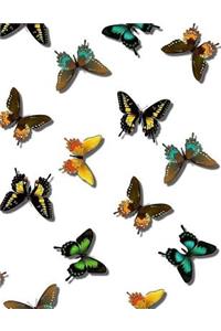 Butterflies