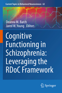 Cognitive Functioning in Schizophrenia: Leveraging the Rdoc Framework