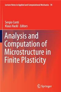 Analysis and Computation of Microstructure in Finite Plasticity