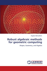 Robust algebraic methods for geometric computing