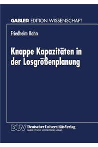 Knappe Kapazitäten in Der Losgrößenplanung