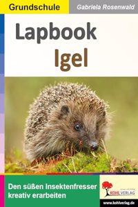 Lapbook Igel