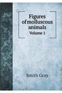 Figures of molluscous animals Volume 1