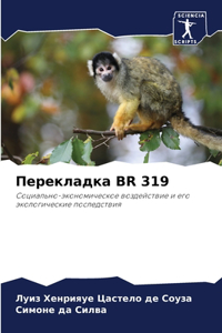 Перекладка BR 319