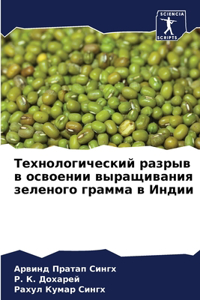 Технологический разрыв в освоении выращи