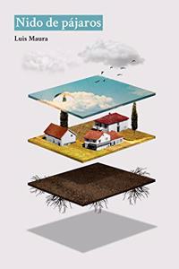Nido de pajaros