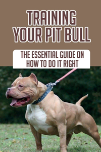 Training Your Pit Bull