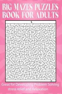 Big Mazes Puzzles Book For Adults