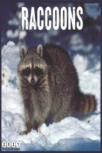 Raccoons 2021 Wall Calendar