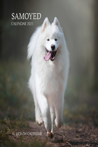 Samoyed Calendar 2021
