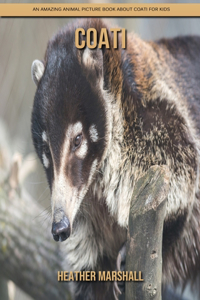 Coati