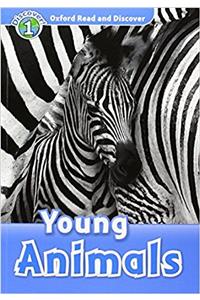 Oxford Read and Discover: Level 1: Young Animals Audio CD Pack