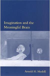 Imagination and the Meaningful Brain