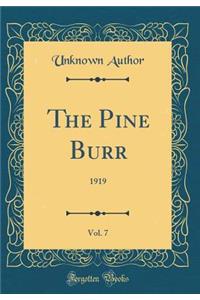 The Pine Burr, Vol. 7: 1919 (Classic Reprint)